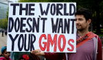March Against Monsanto / Foto: Flickr.com, Stephen Melkisethian