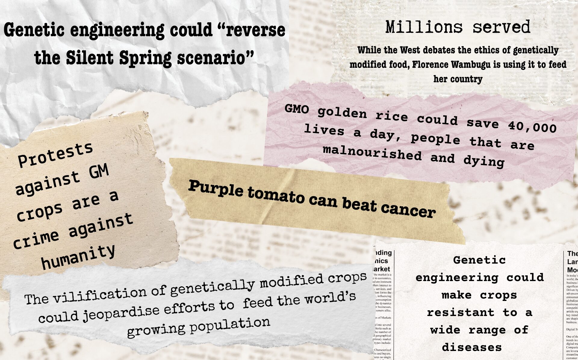 A collage of headlines and quotes promoting the proclaimed benefits of genetically modified (GM) crops and genetic engineering. Text snippets include statements such as “Genetic engineering could ‘reverse the Silent Spring scenario’,” “Millions served – While the West debates the ethics of genetically modified food, Florence Wambugu is using it to feed her country,” and “GMO golden rice could save 40,000 lives a day, people that are malnourished and dying.” Other phrases emphasize medical and agricultural benefits like “Purple tomato can beat cancer,” “Genetic engineering could make crops resistant to a wide range of diseases,” and “The vilification of genetically modified crops could jeopardize efforts to feed the world’s growing population.” One quote reads, “Protest against GM crops are a crime against humanity.” The background is styled with torn-paper textures.